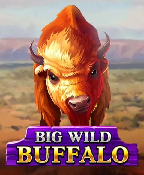 Play Big Wild Buffalo at Kineko Casino